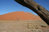 Namibia (41)